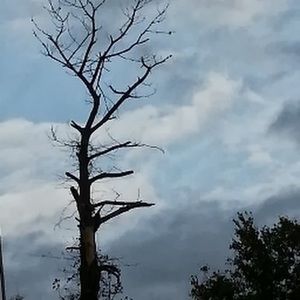 Meet your Posher, Betty